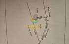 Teren de vanzare extravilan Bascov Arges - 2
