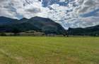 Teren de vanzare  Intravilan 19.341 mp – Cheile Râșnoavei, Parcelabil - 9