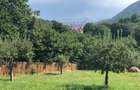 De vanzare teren unic in Brasov (vedere panoramica asupra orasului) - 3
