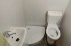VILA DE INCHIRIAT- SPAIUL UNIRII- GRADINA- LOC PARCARE - 7