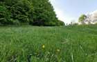 Oportunitate de Investiție - Teren de Basm in Bascov. DIRECT PROPRIETAR. - 9