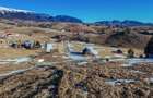 Comision 0%| Teren intravilan Sirnea 3756 mp| Priveliste superba - 2