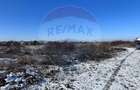 Teren intravilan 500mp, langa lac, acces drum principal - Corbeanca - 2