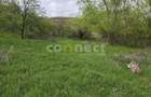 De vânzare teren superb în Ciurila ~ 5000 mp de liniște, verdeață și potențial - 7