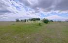 Teren extravilan, 114000 mp, Parc industrial West Park - 6
