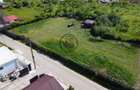 Teren intravilan investiție/domeniu privat  | 1.754 MP | Cocoșești - 1