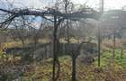 Teren Intravilan 2.800 mp| zona Schit - 3