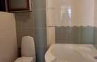 Apartament 3 camere Piata Alba Iulia - 9