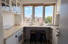 Apartament cu terasa Gradina Icoanei - 4