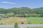 Teren de 4.000 mp cu deschidere la DN73A – Cheile Rasnoavei - 6