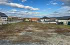 Comision 0% teren intravilan premium 2.000 mp la drum judetean | Daia - 6