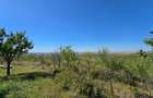 Teren 8.472 mp – Ghioroc Valea Domneasca - 2