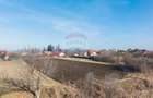 Teren intravilan 9.000 mp pentru dezvoltare rezidențială sau mixtă - 13
