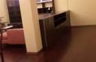 Apartament  spatios in  Vila noua, curte, multa verdeata, ultracentral, - 8