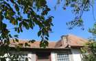 casa traditionala Bruiu Somartin judet Sibiu
