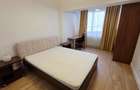 Inchiriere 3 camere Herastrau - Satul Francez parcare subterana - 12