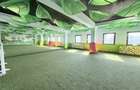 Spatiu comercial de inchiriat in palazu mare - 12