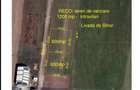 RECO Teren intravilan 1200mp -Livada de Bihor - 9