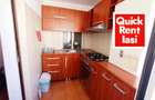 Sfantul Lazar-Palas Mall - Apartament 3Camere Decomandat Cu 2Bai De Inchiriat - 11