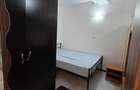 Studio Dristor/Pet friendly/Metrou Dristor - 5