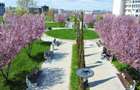 Campus | Apartament langa parc cu parcare subterană și bucătărie închisă - 15