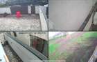 Vilă modernă în zona Arcașilor – confort și rafinament - 10