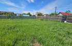 DUMBRAVA - 1219 mp Teren ideal casă – asfalt, utilități - 2