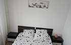 Apartament 3 camere Titan, pet friendly, 2 balcoane, mobilat modern - 6