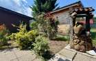 Refugiu pretios:jacuzzi, lemn masiv,2.000 mp teren,4 dormitoare, cuptor, investi - 8