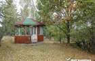 1.6 ha de padure cu poienita, parau la limita curtii, cabana pentru trei familii - 2