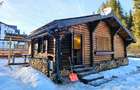 1140mp si cabana Obarsia Lotrului Transalplina 3km partia ski, TOATE UTILITATILE - 1