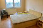 Casa de inchiriat 5 camere Cetate Alba Iulia - 13