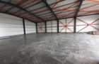Hala noua in zona Drumul Intre Tarlale - 2