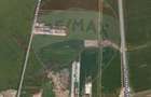 Hala industriala Jilava, teren 16.950mp, aceces A0/Centura - 4