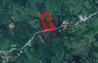 Teren intravilan de vanzare in Telega - 13