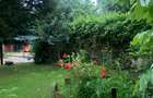 Vanzare Vila  Snagov (+8 camere - 5 bai) - 4