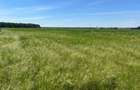 LOT TEREN INTRAVILAN / INVESTITIE / PRETABIL CONSTRUCTIE CASA VACANTA/LOCUIT - 3