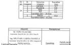 gars.dec.-mob-util complet+parcare/zona noua Popesti-Leordeni - 6