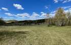 TEREN EXTRAVILAN | 103.000mp | BALANACA-GROSI | PASUNE | PASUNE IMPADURITA | BIH - 1