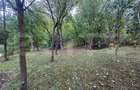 Casa de vanzare, 98 mp, teren 1.600 mp, zona Gherla