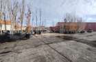 Teren intravilan in Oncea - 12