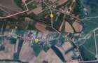 De vanzare teren intravilan Sititelec, Husasau de Tinca, Bihor - 1