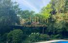CASUTA DIN POVESTI/CURTE 1100MP/GRADINA MAGICA/SAUNA/PISCINA/SNAGOV - 44