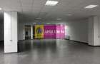 Locul Potrivit pentru afacerea ta - Otopeni- Calea București - 7