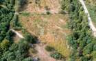 Teren de vanzare, 5000mp, cu iesire la rau, in Borlova, Muntele Mic - 9