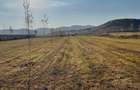 Vanzare teren intravilan 3000 mp, deschidere 28 m cu utilități Măgureni, Prahova - 6