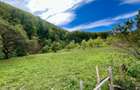 Teren 5.600 mp – Liniște, Natură și Verdeață | 10€/mp - Comision 0% - 4