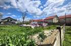 Teren cu o casă demolabilă în satul Poșta la 15 minute de București - 10