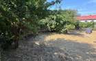 Teren cu casă demolabilă zona centrală Eforie Nord - 4