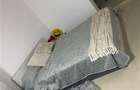 Vanzare apartament 2 camere in vila Gara de Nord - 5